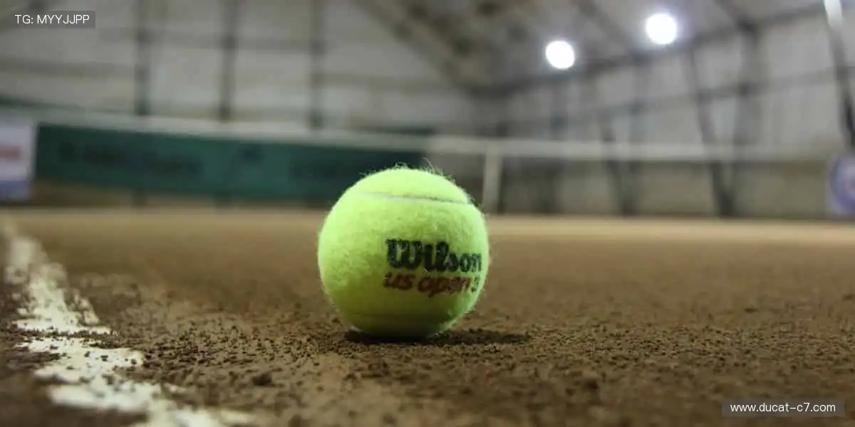 专业解说，深度剖析！🎙️